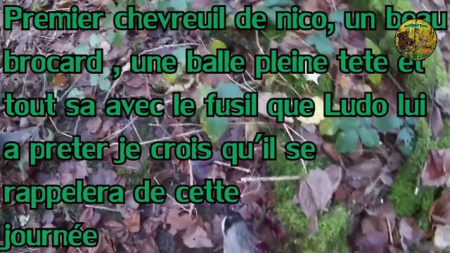 Chasse aux gros gibiers, tirs sur sangliers et chevreuils