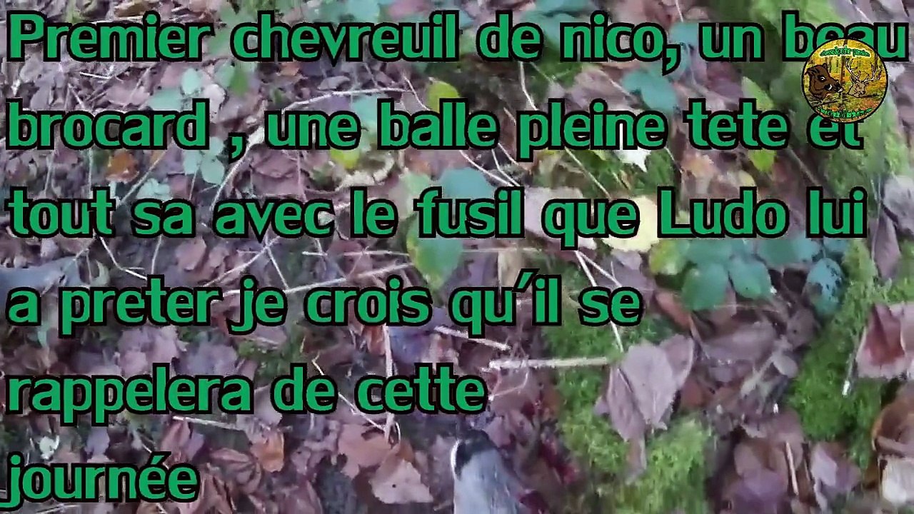 Chasse aux gros gibiers, tirs sur sangliers et chevreuils