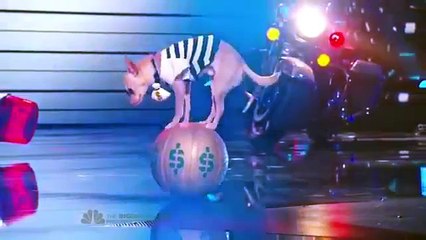 America's Got Talent 2014 - Top 12 - Christian St