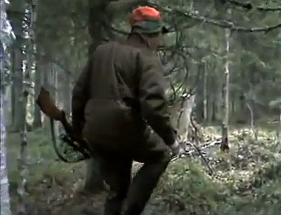 Älgjakt, STORSVART´N...jakt när den är som bäst !!