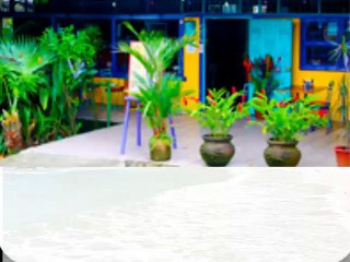 Top 5 Restaurants in Manuel Antonio