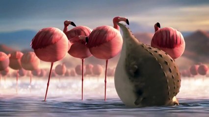 What If Wild Animals Ate Fast Food