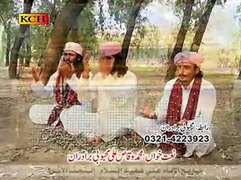 Waqas Ali Mehboobi Brotharaan Album 04 Karbal Vich Lara