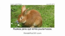 Learn Finnish with Video - Learning Finnish Vocabulary for Common Animals Is a Walk in the Park!