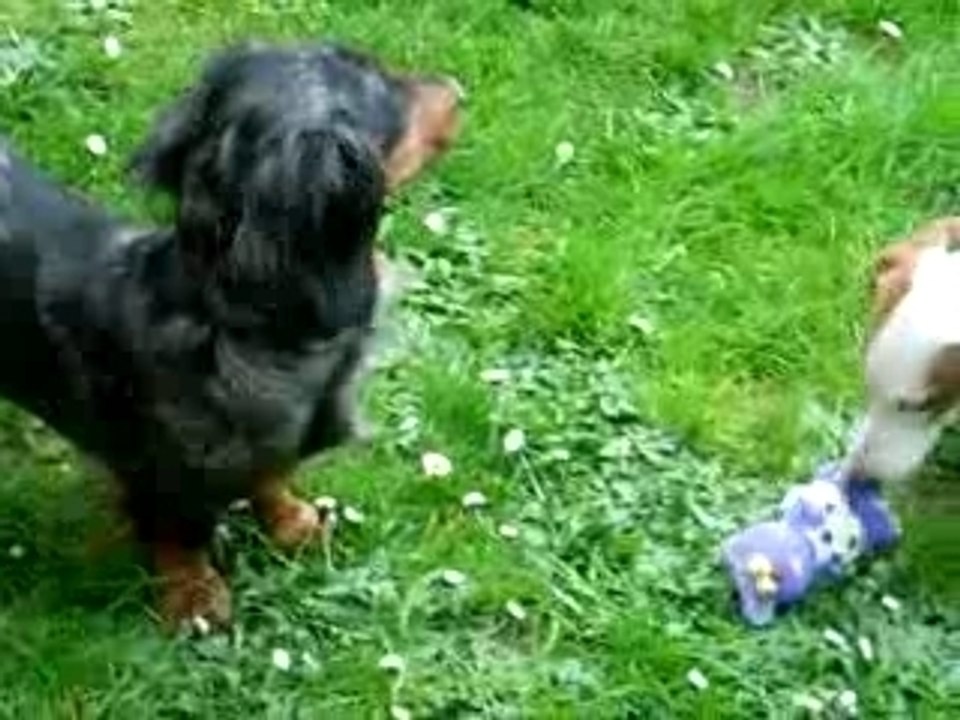 Chloé et Biloute au jardin