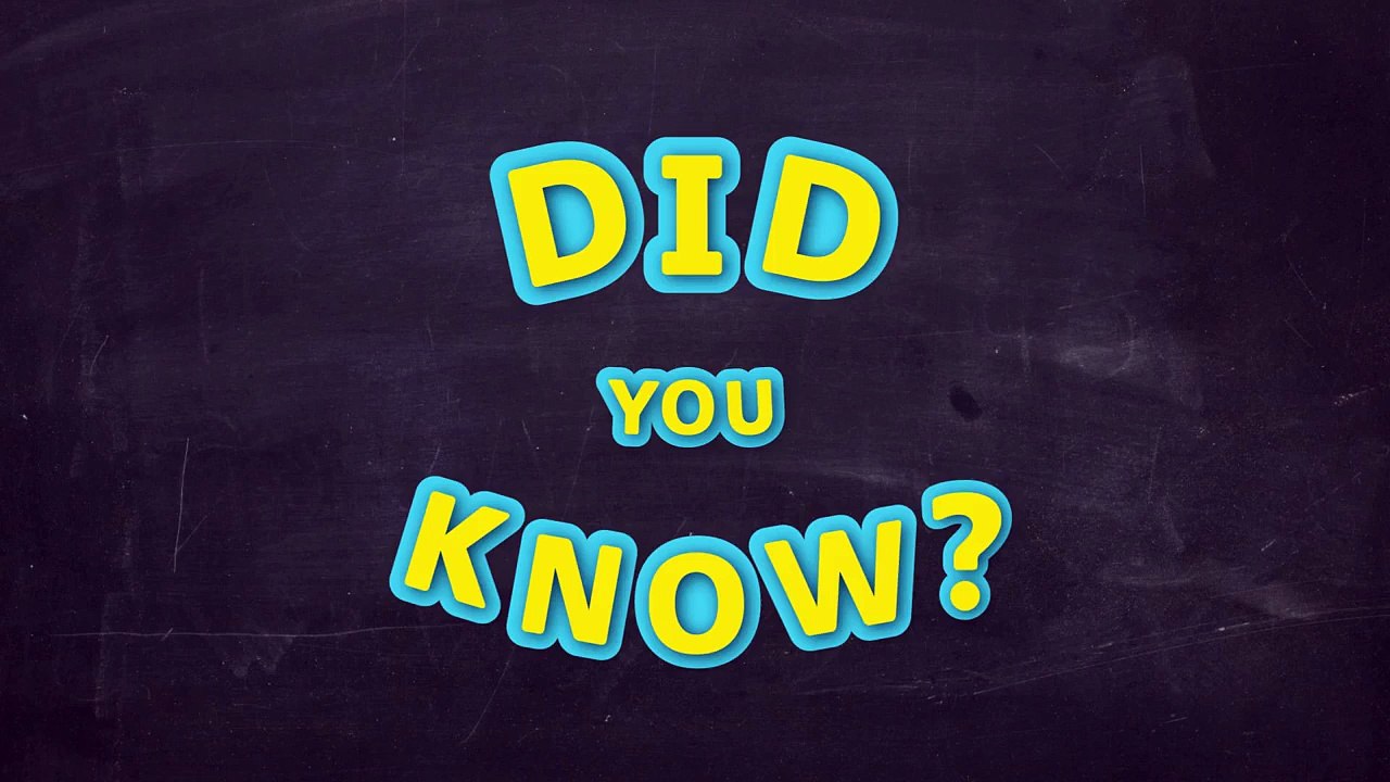 First Passengers in a Hot Air Balloon Were Farm Animals: Weird But True!