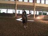 Lumpazio Parabombos - 2003 Quarter Horse Stallion