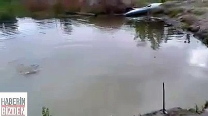 wow, smart dog! loyal friend!