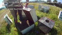 How we make and sale our package bees