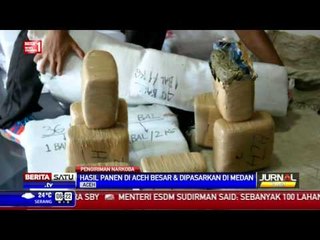 Download Video: Polres Aceh Gagalkan Penyelundupan 216 Kilogram Ganja ke Medan