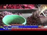 Bawang Merah di Banten Tembus Rp 45.000