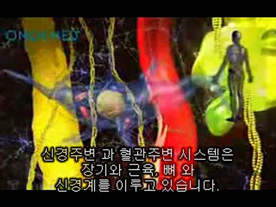 ONDAMED KOR video