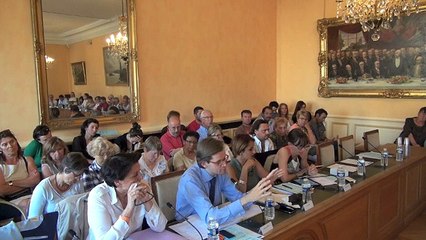 Conseil municipal d'Auxerre du 25 juin 2015 (2)