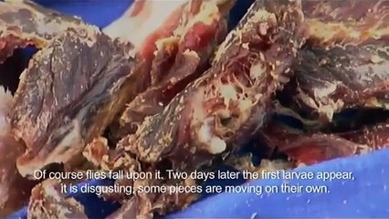 Camel jerky by Sahara nomads (Extract of the documentary "Return to the desert")