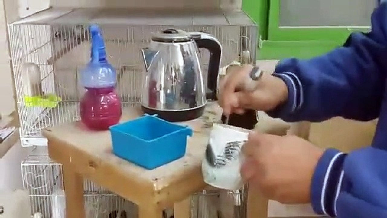 Elektrik