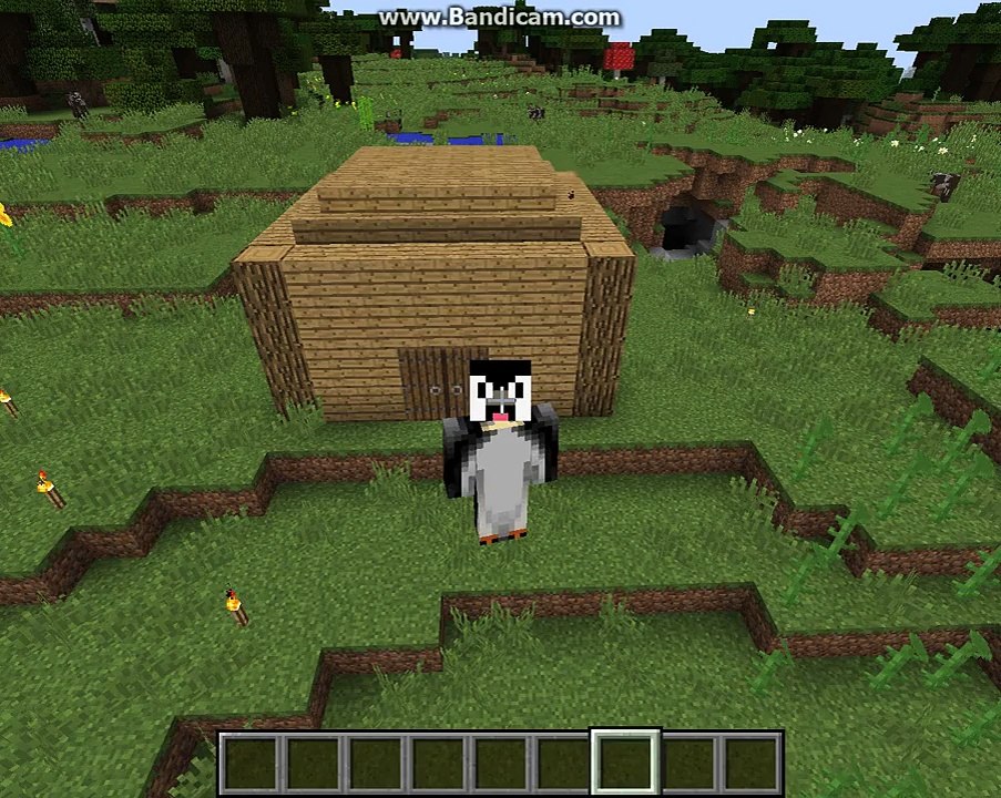 Minecraft How To Train Your Dragon #2