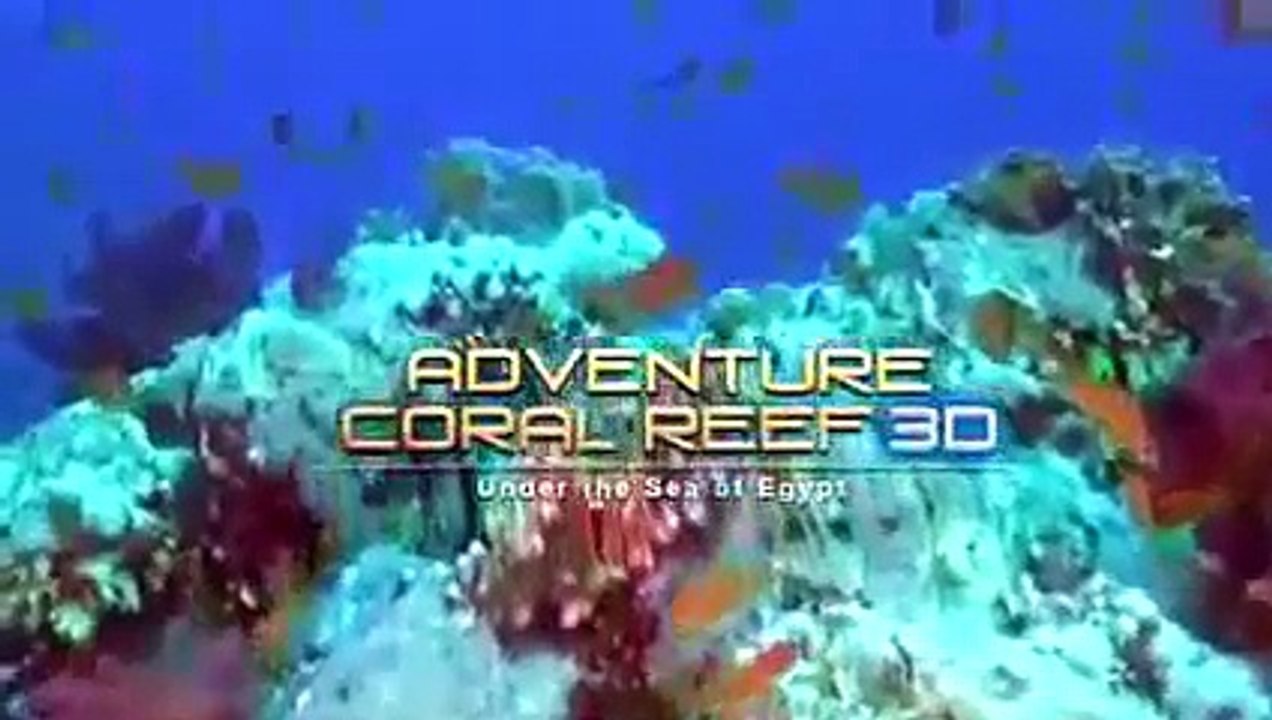 Deep Ocean Coral Reef Adventure Full Discovery Channel Documentaries