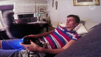 This Cat Won't Let Its Owner Play Video Games