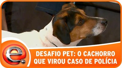 Alexandre Rossi doma fera que virou caso de polícia