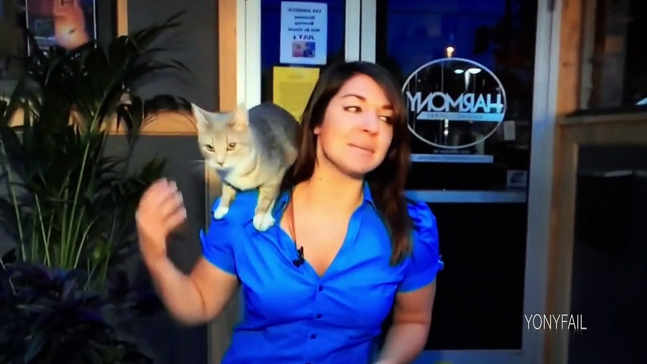 Perro se mea encima de la presentadora
