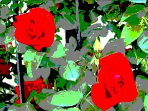 Wanda Osiris - Wanda