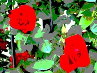 Wanda Osiris - Wanda