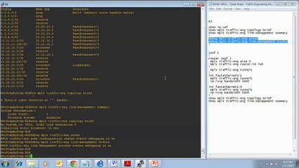 7 - Traffic Engineering Network