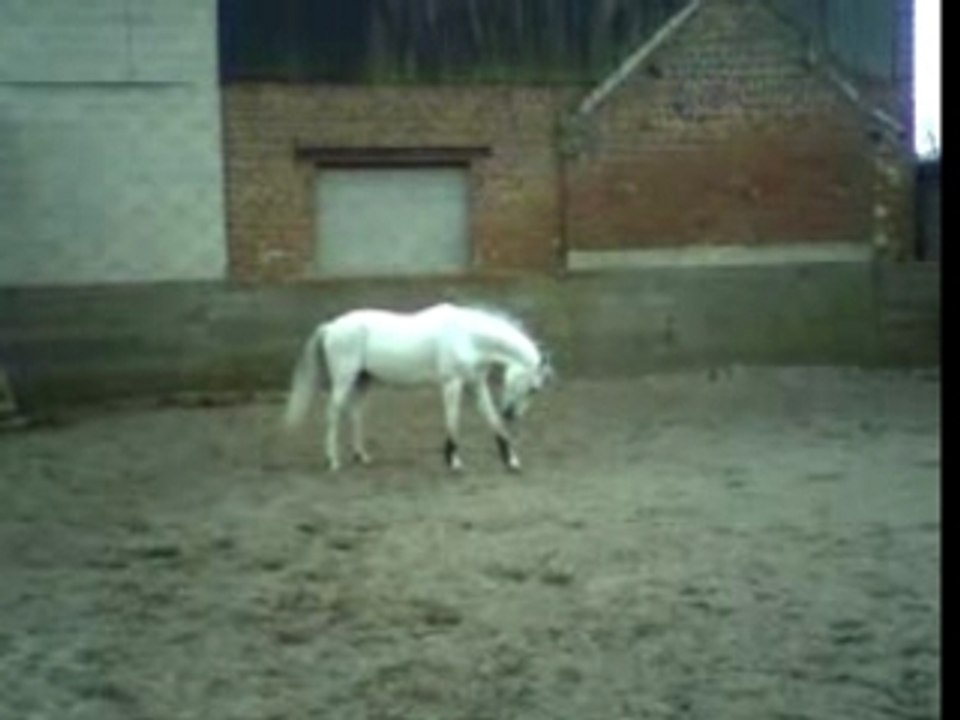 Palou foufou