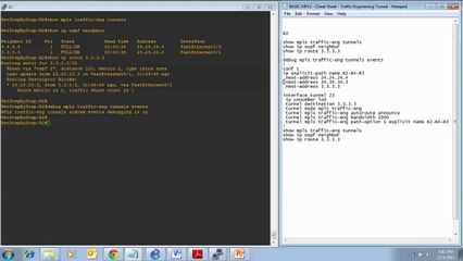 8 - Traffic Engineering Tunnel