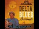 Delta Blues Sounds - Best Of The Mississippi Delta's Stars