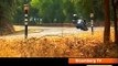 Kawasaki Z1000 and Z800 | Comprehensive Roadtest | Autocar India