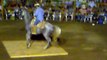 Concurso de caballos bailadores 2012 en Coyuca de Benítez 1/7