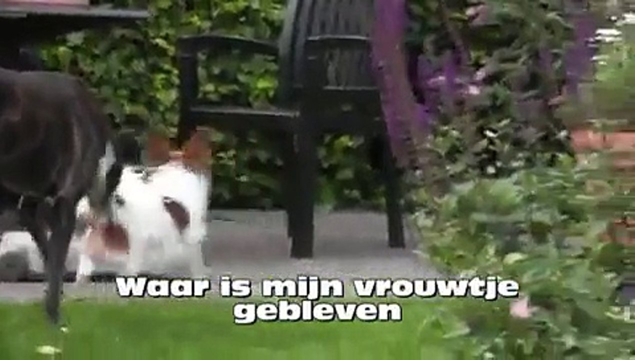Bezoek