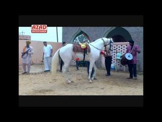 Horse Dance -  ARABIAN CHAL
