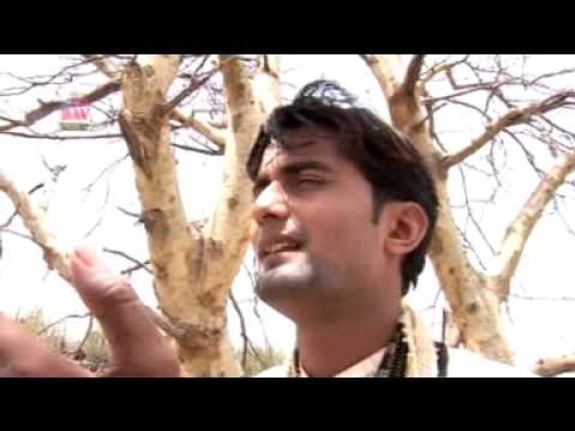 Mahaveer Tere Charan Kamal | Rajasthani Devotional Video | Jainism HD Video | D. Mohan Jain | BAV