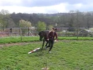 Meddy: Top Music Artist 🎶