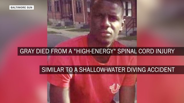 Key findings from the leaked Freddie Gray autopsy report