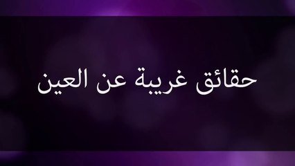 Ruspal.net _ حقائق غريبة عن العين