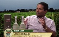Entrevista a José Luis Salas