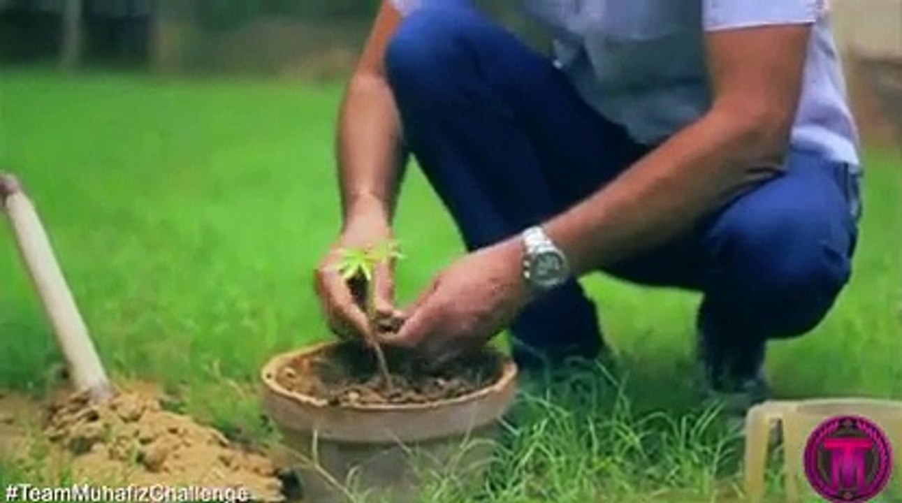 Team Muhafiz Plant a Tree Challenge