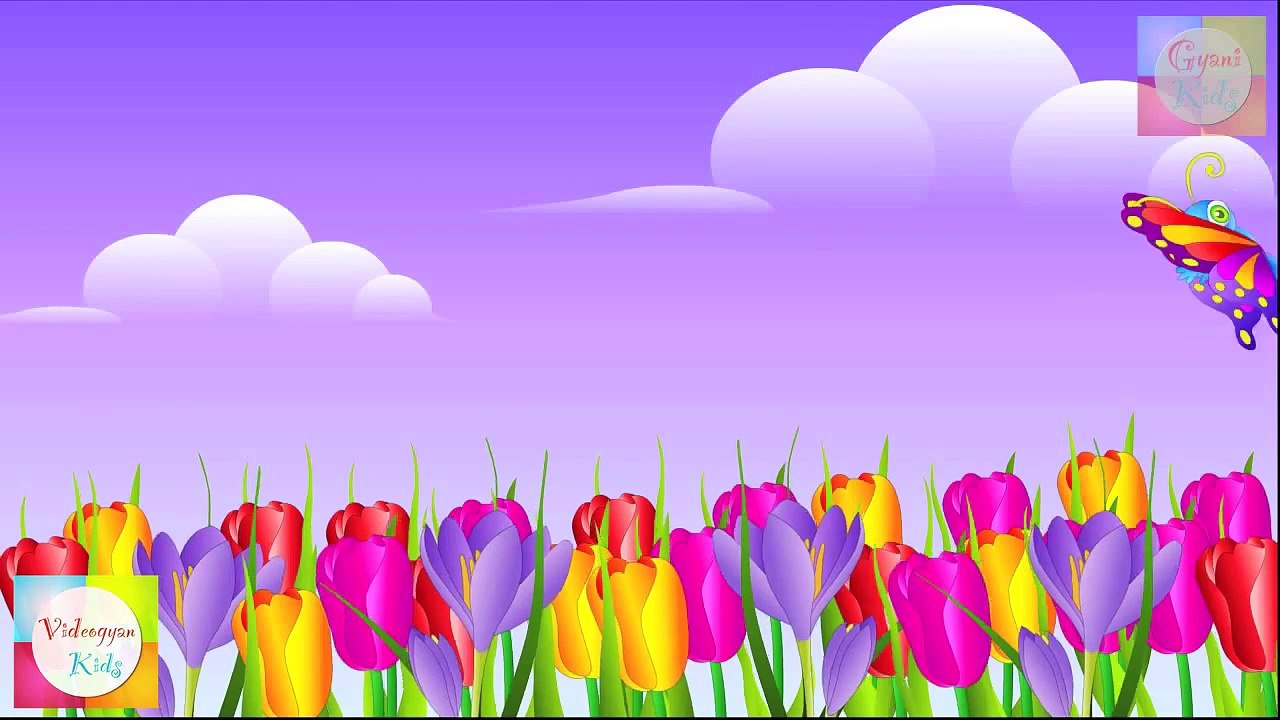 Chubby Cheeks Dimple Chin Nursery Rhyme | Cartoon Animation Songs For Children