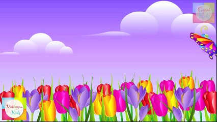 Chubby Cheeks Dimple Chin Nursery Rhyme | Cartoon Animation Songs For Children