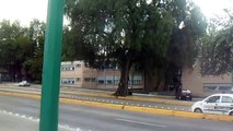 Alberca Olímpica UNAM