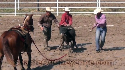 2014 Cheyenne Rodeo Calf Abuse