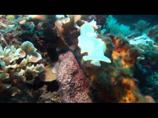 Phillipines mars 2015