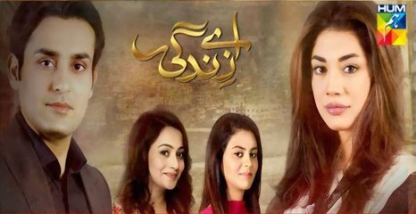 Aye Zindagi Episode 16 Full HUM TV Drama 25 June 2015