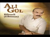 Ali Gül - Elbistan