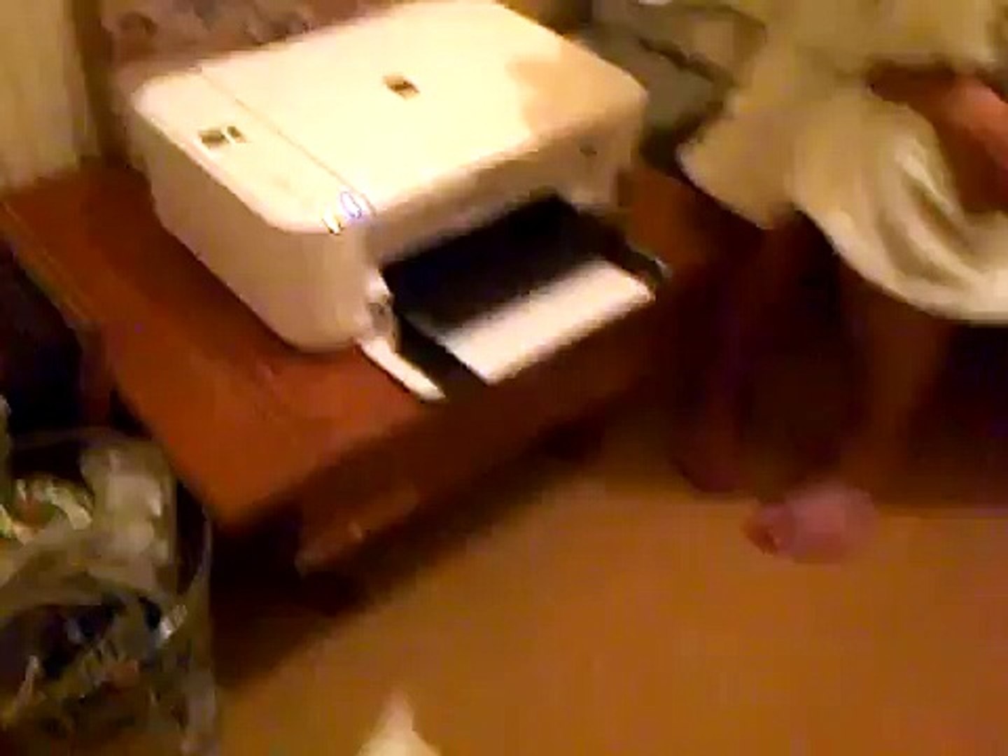 ⁣cat scared of printer
