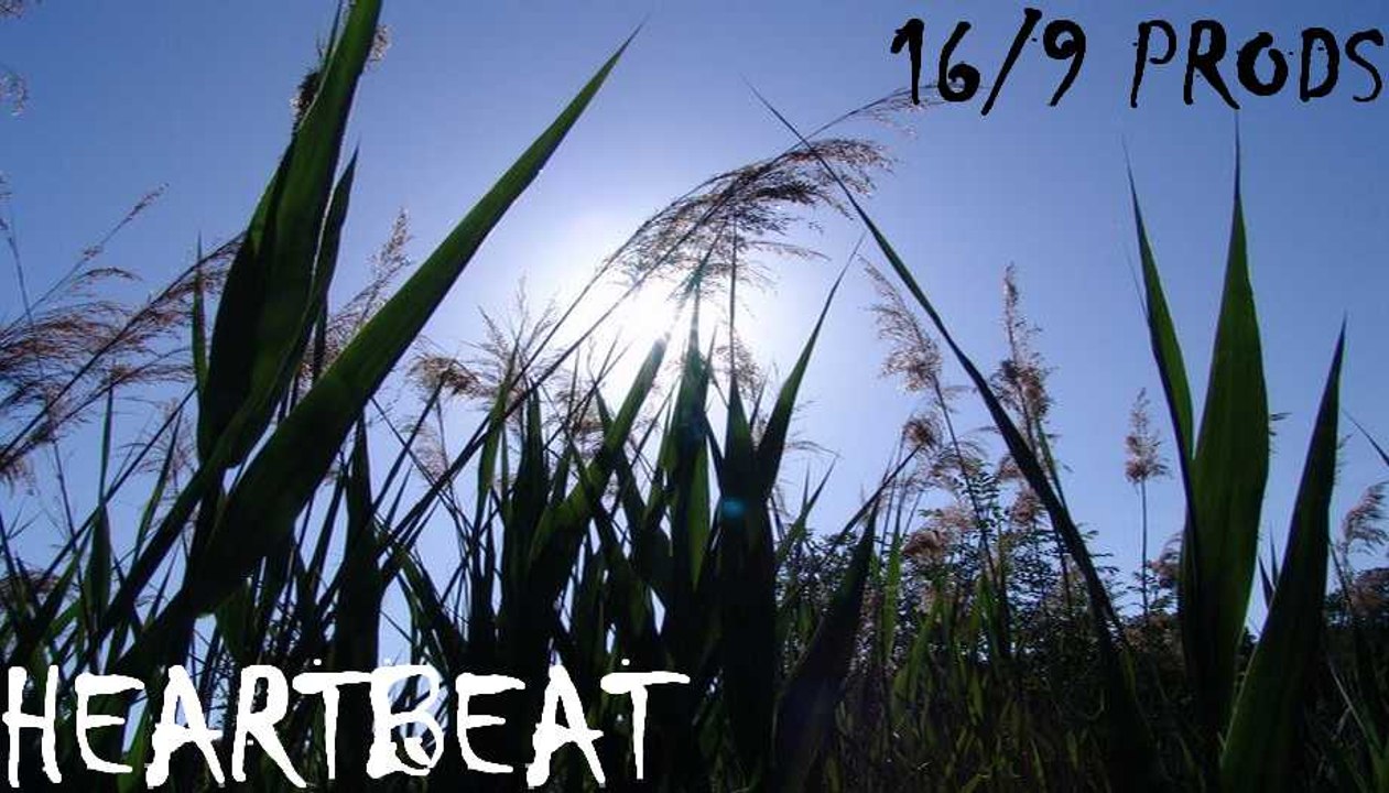 ¥¥¥ HEART BEAT ¥ Film éducatif ¥ CINEMA ECOLE PHILOSOPHIE SOCIOLOGIE HISTOIRE ART ROMAN LIBRAIRIE LITTERATURE BIBLIOTHEQUE CINEMATHEQUE TRIBUNAL MUSEE FESTIVAL CONCERT ISLE-ADAM CERGY-PONTOISE VAL D'OISE BESANCON PARIS BRUXELLES MONTREAL PICARDIE IDFM95