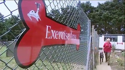 Greyhound Racing - The Dogs - Barley Kennels